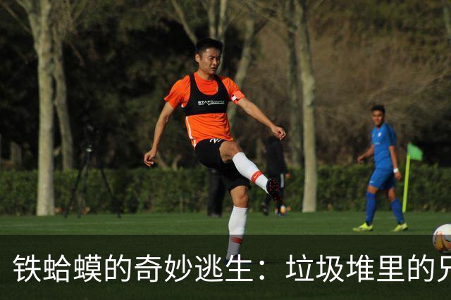 铁蛤蟆的奇妙逃生：垃圾堆里的兄弟情